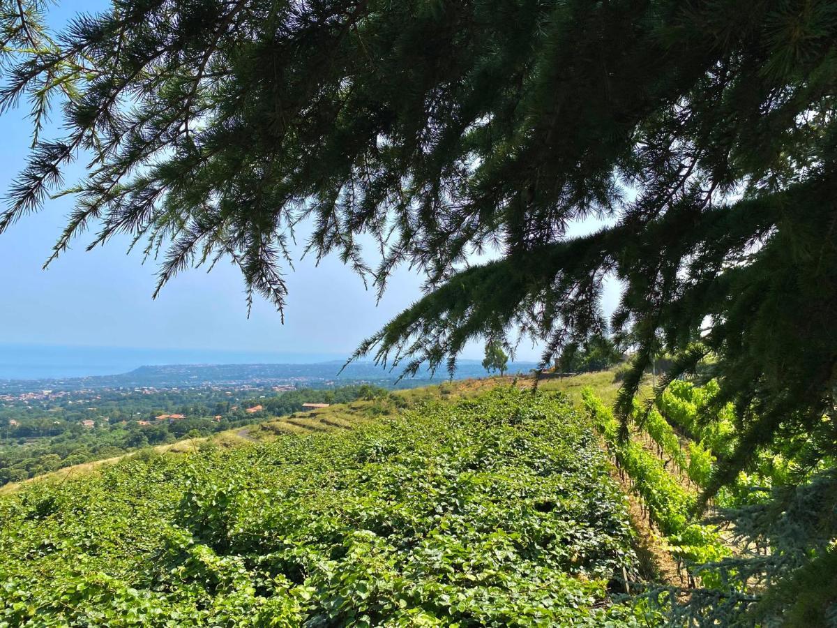 Tenuta Kiwi Dell'Etna Milo Eksteriør billede