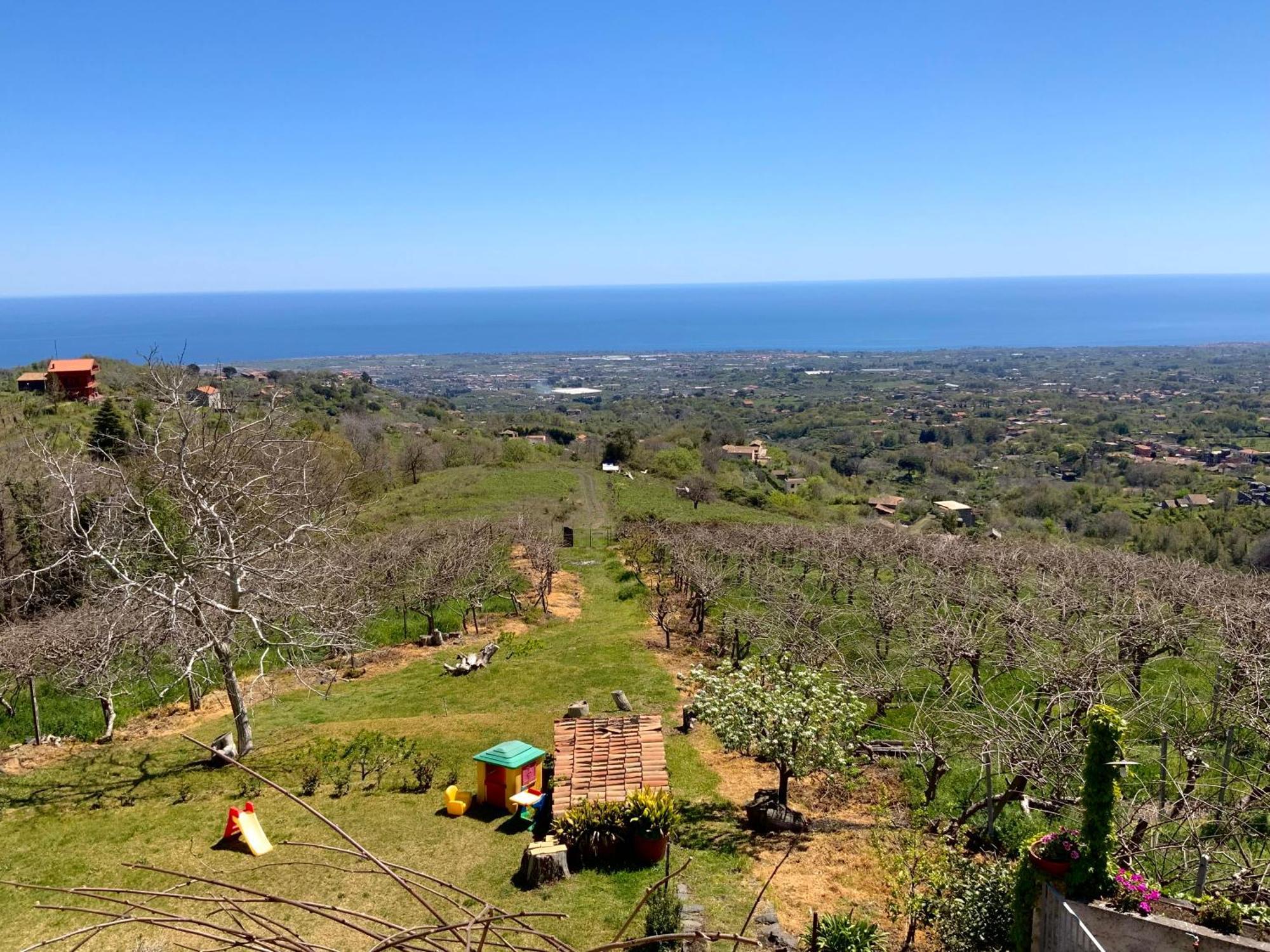 Tenuta Kiwi Dell'Etna Milo Eksteriør billede